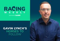 Gavin Lynch's Novice Horses to Follow 2023/24 | Racing Weekly