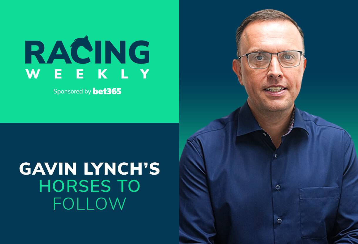 Gavin Lynch's Novice Horses to Follow 2023/24 | Racing Weekly