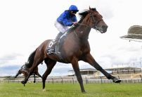 Juddmonte International Stakes: Where is the money going?