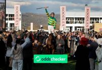 Cheltenham Gold Cup 2026: Runners, Odds, Trends & Tips
