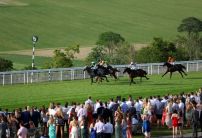Glorious Goodwood 2022: Making the most of the offers and free bets