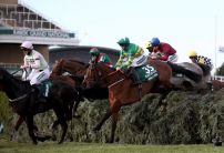 Grand National Odds 2022: Enjoy D'Allen well suited to stamina test