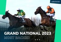 Grand National 2023: Noble Yeats leads early most backed list