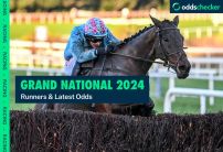 Grand National Runners for Aintree after Intense Raffle Irish win at Fairyhouse