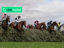 The five most backed Grand National runners doesn't include last year's winner