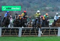 Greatwood Hurdle 2025: Runners, Race Trends, Betting Tips, and Insights