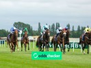 Nunthorpe Stakes 2026: Odds, Declared Runners, Trends & Betting Tips