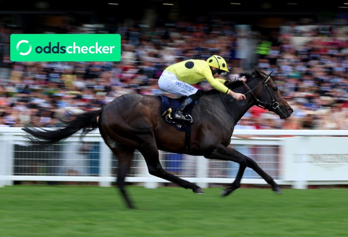When is the Haydock Sprint Cup 2024? Odds, Date, Entries & Tips