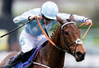 Betfred Cheltenham Offer: Bet £10 Get £40 in Free Bets