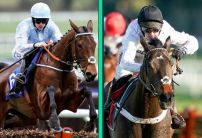 Honeysuckle vs Constitution Hill: Who wins at Punchestown?