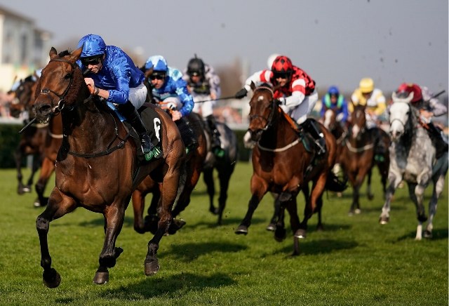 Horse racing betting guide pdf Horse racing betting guide pdf