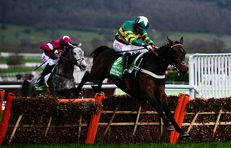 Bet365 Cheltenham Offer: Bet £10 Get £50 in Free Bets