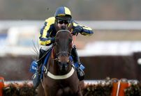 17% chance racing resumes by the 1st of May
