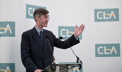 Jacob Rees-Mogg holds intrigue with punters