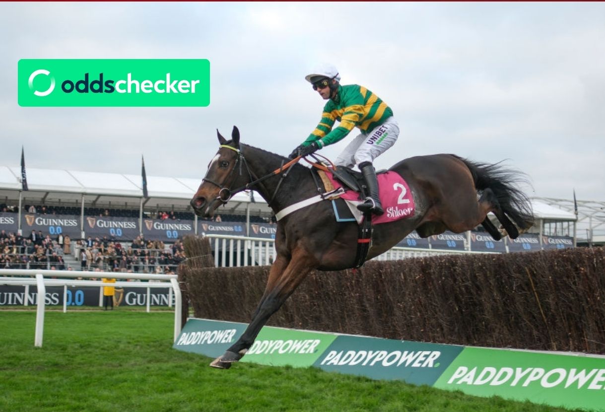 Who are the biggest rivals to favourite Jonbon in 2024 Tingle Creek Chase?