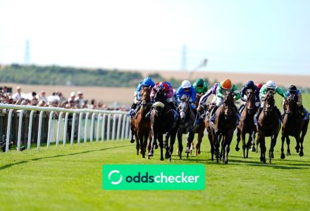 Ebor Handicap 2026: Odds, Declared Runners, Trends & Betting Tips