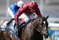Kameko and English King shoot to the front of Derby market following their dominant displays
