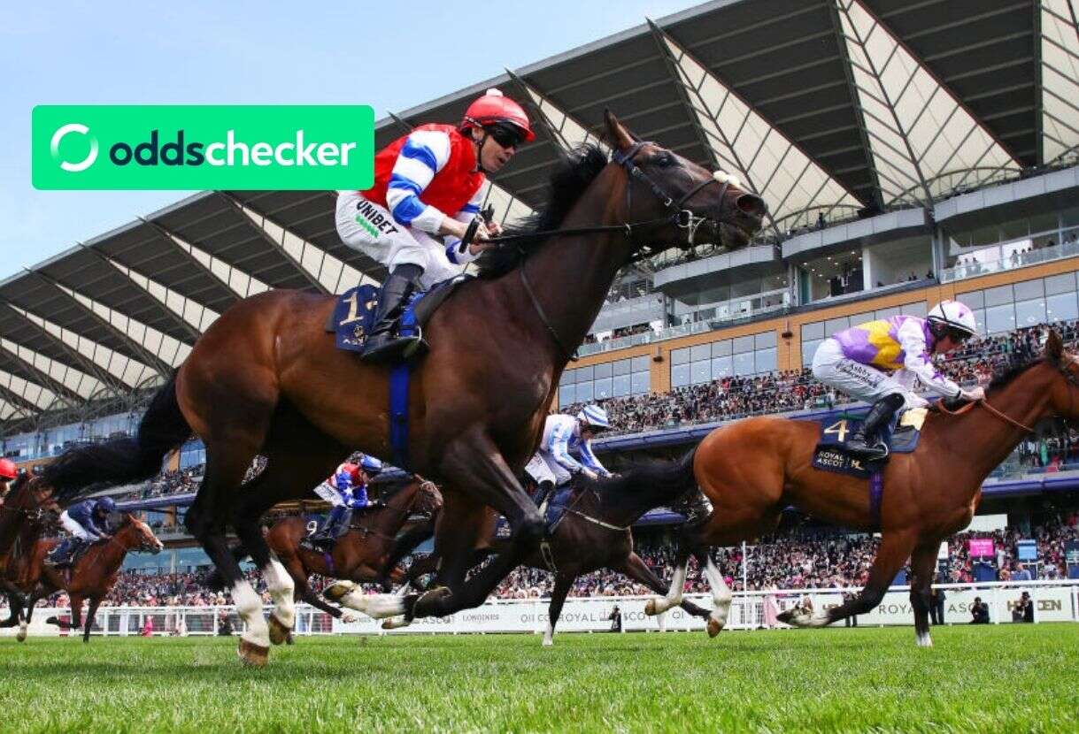 Who is the favourite to win the King George Stakes VI?