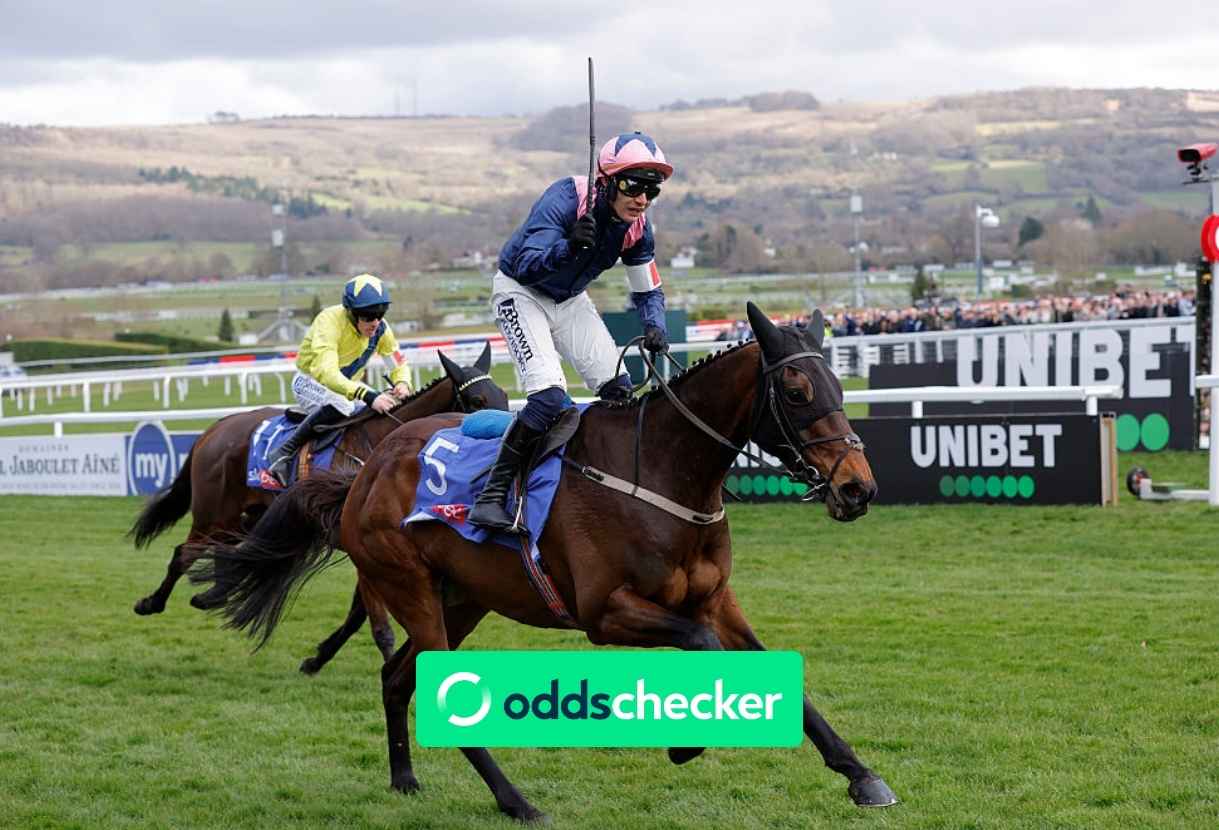 Which Cheltenham Festival Races are Most Popular with Bettors?