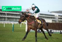 Cotswold Chase Runners, Trends, Odds, and Betting Tip