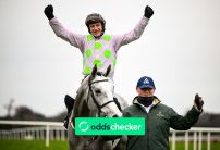 Cheltenham Festival 2026 Top Trainer & Jockey Odds & Favourites