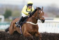 Three most backed horses ahead of Christmas racing