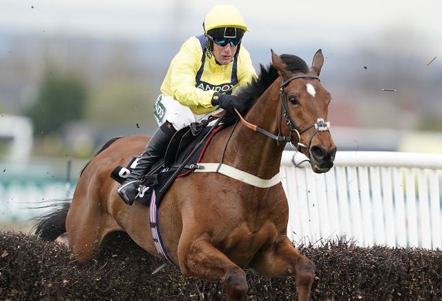 Three most backed horses ahead of Christmas racing