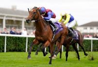 Andy Holding: Guineas third Luxembourg makes limited appeal as Epsom Derby favourite