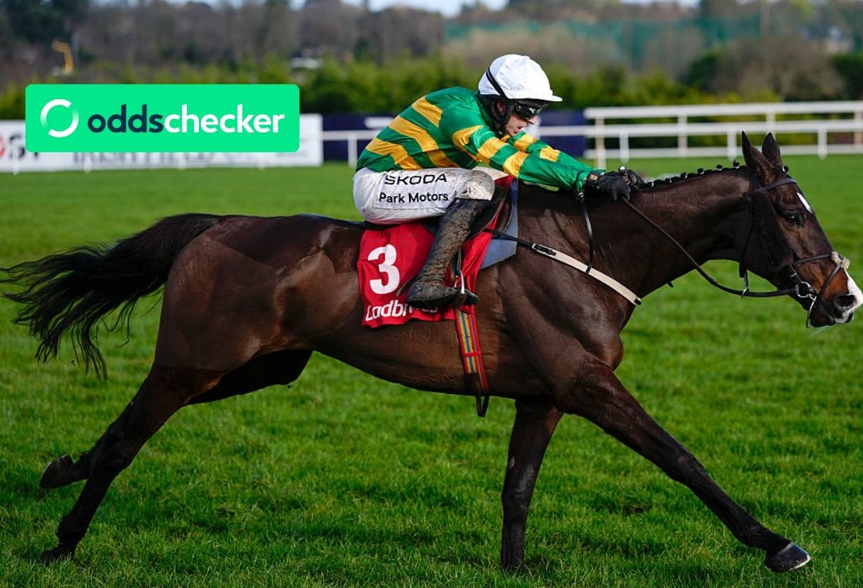 Cheltenham Festival 2026 Schedule, Dates, Times & Betting Tips