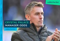 Next Crystal Palace Manager Odds: Eagles turn to McKenna to replace Hodgson