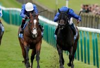 Tote Ten To Follow