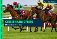 Best Money Back Offers For The Cheltenham Festival