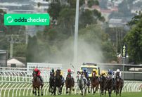 Saturday's Most Backed Horse Racing Bets: Three to include in your accas