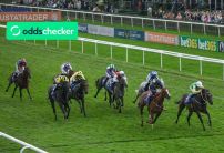 July Festival Newmarket 2025: Odds, Dates, Races & Betting Tips