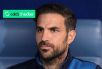 Next Chelsea Manager Odds: Is the mystery man Ruben Amorim or Cesc Fabregas?