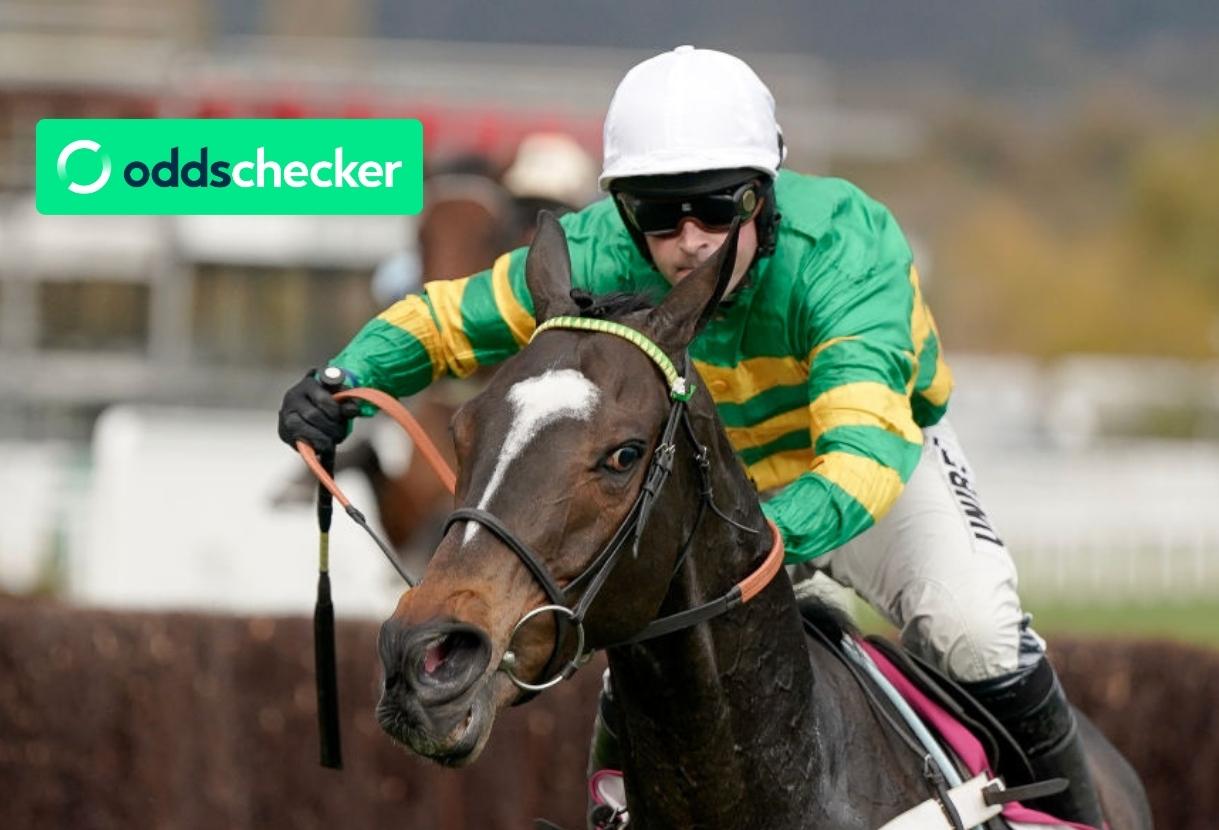Cheltenham Tips, Dates & Odds including Jonbon for November Meeting 2024