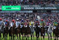 Oddschecker Sefton Novices Hurdle Tips & Betting Trends