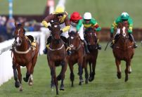 Parimatch Cheltenham Offer: Bet £10 Get £50 in Bonuses