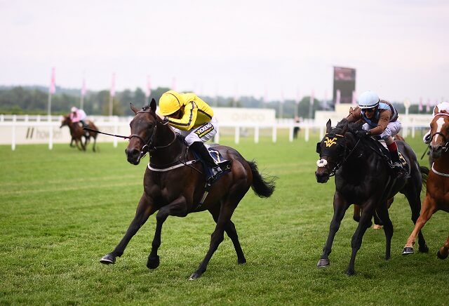 July Cup 2022: Ante-Post Tips & Preview