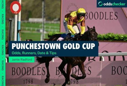 When is the Punchestown Gold Cup 2024? Odds, Runners, Date & Tips