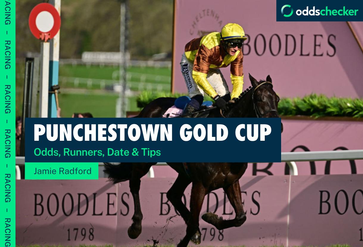 When is the Punchestown Gold Cup 2024? Odds, Runners, Date & Tips