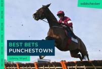 Johnny Ward’s Best Bets for the Punchestown Festival 2023
