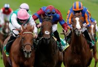 1000 Guineas betting: Where's the money going?