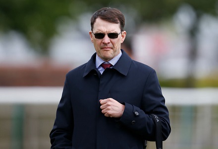 Saxon Warrior pick of Oddschecker punters ahead of Racing Post Trophy