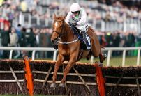 BREAKING NEWS: Annie Power ruled OUT of Cheltenham Festival 