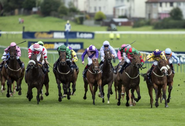 12/1 shot most backed to win Ayr Gold Cup