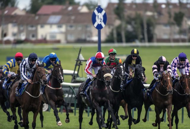 Saturday's Horse Racing Market Movers