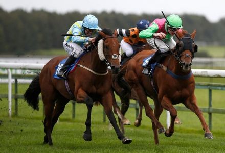 1,521/1 five-fold lands for Andy Holding and his followers