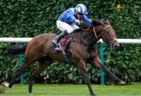 Battaash backed as Lady Aurelia not fancied for the King's Stand Stakes