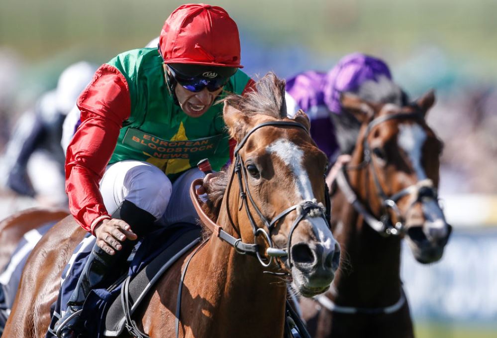Friday's Horse Racing Market Movers